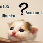 [AWS]新設サーバーはAmazon Linux,CentOS,Ubuntuのどれが良いか考える