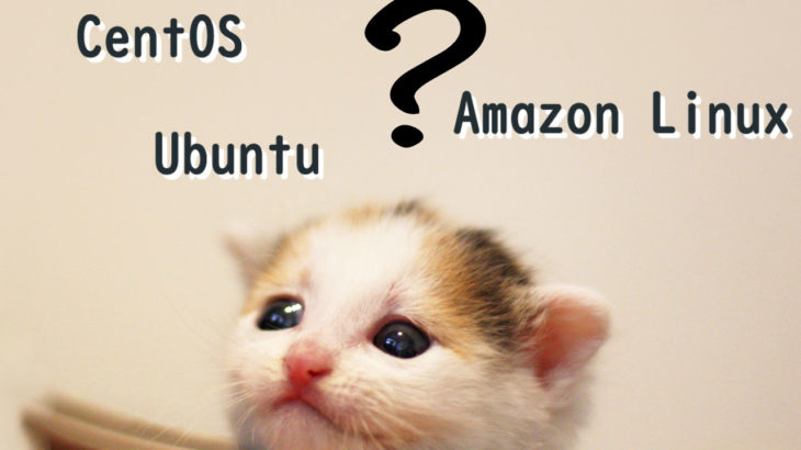 [AWS]新設サーバーはAmazon Linux,CentOS,Ubuntuのどれが良いか考える