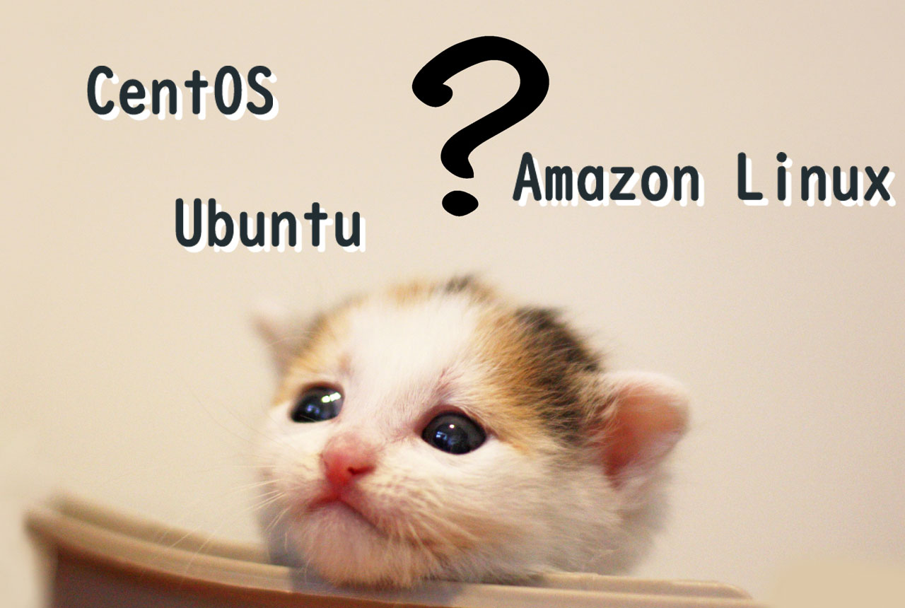 [AWS]新設サーバーはAmazon Linux,CentOS,Ubuntuのどれが良いか考える